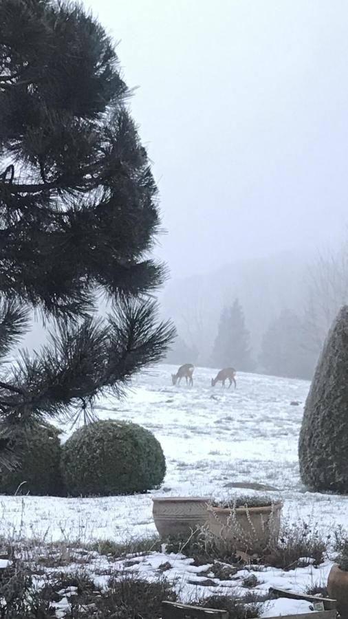 Курортные отели Dworek nad Regą Trzebiatów nad Regą